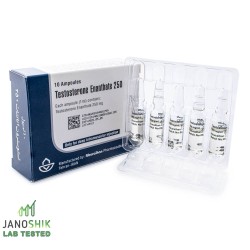 10* TESTOSTERONE ENANTHATE 250 (TESTOSTERONE ENANTHATE 250MG)