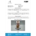 10*STANOMED 10 (STANOZOLOL 10MG)