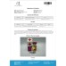 10*TRENOMED ENAN 200 (TRENBOLONE ENANTHATE 200MG)