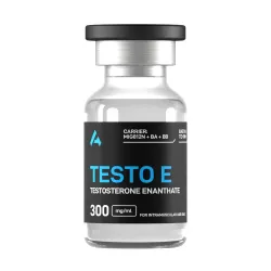 Testo E 300