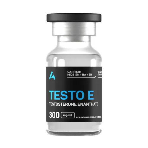 Testo E 300